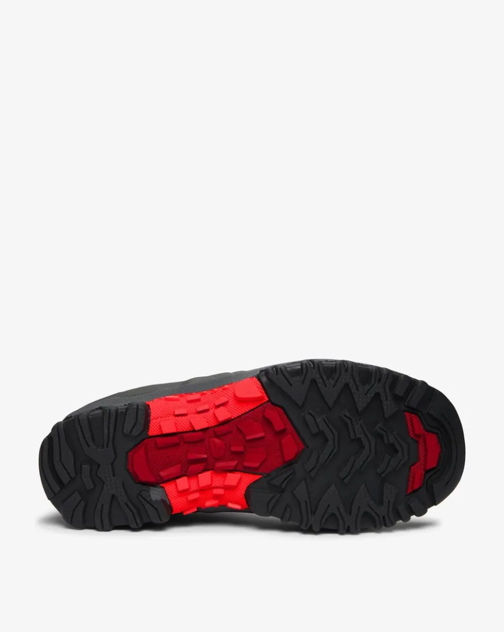 Trophy Neo^Viking Sale