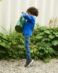 Veme Reflex GTX 2V^Viking Best