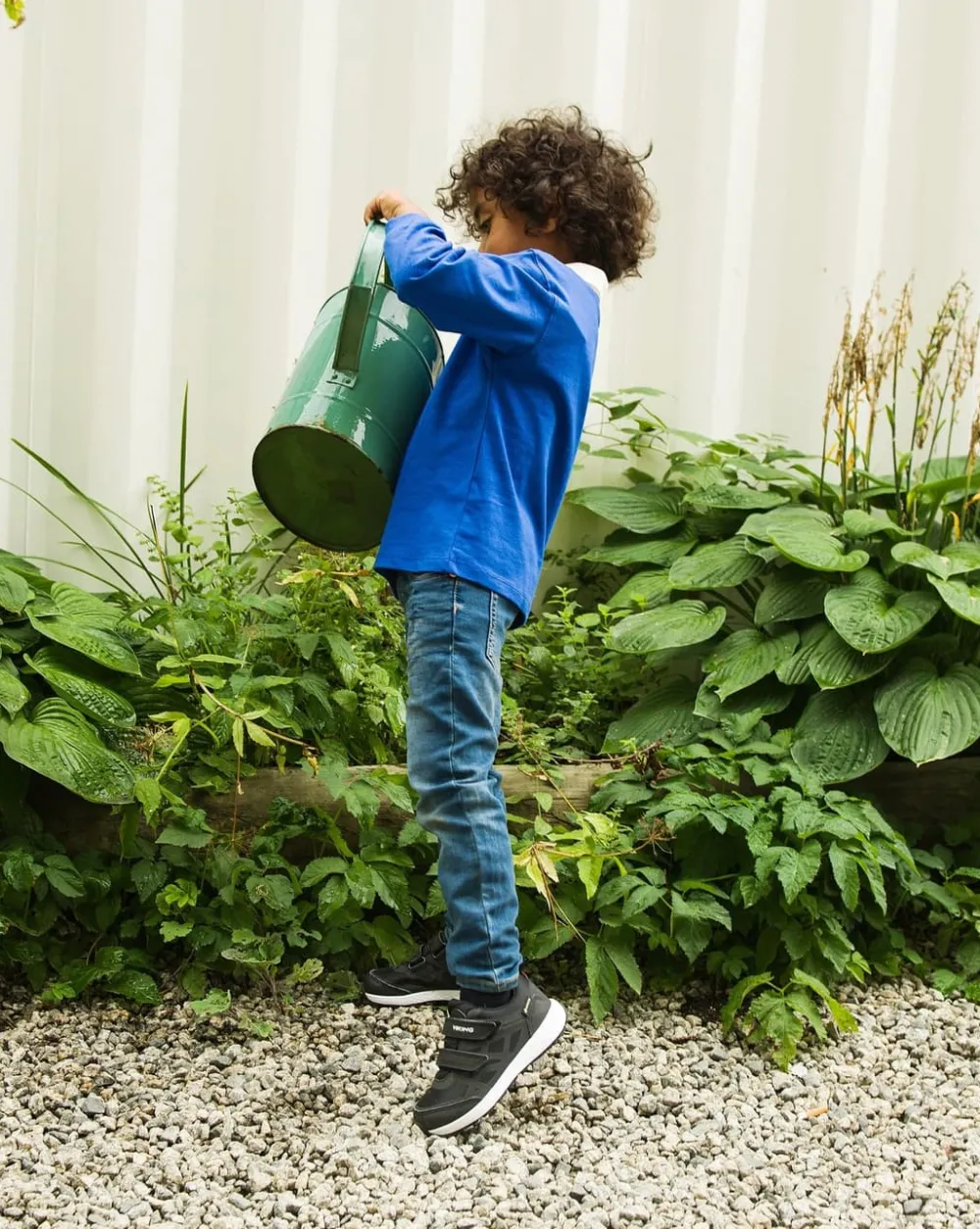 Veme Reflex GTX 2V^Viking Best